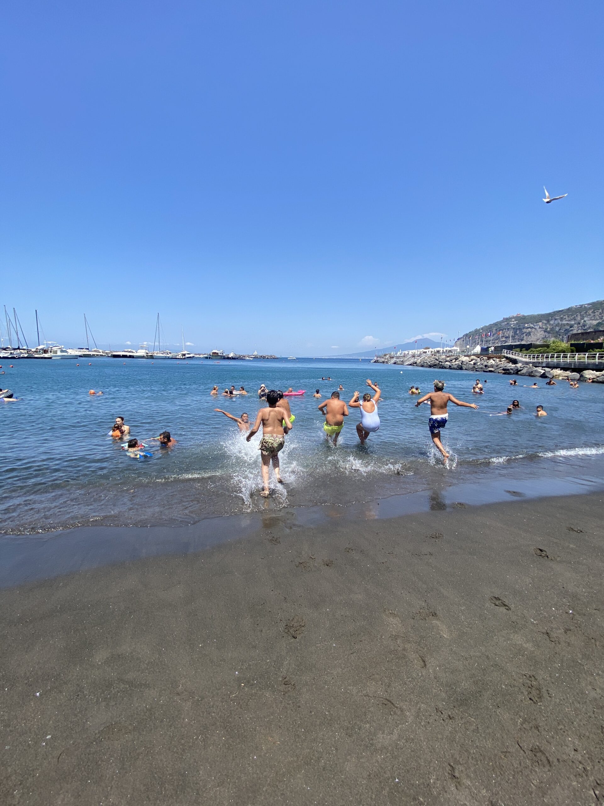 IMG_5529